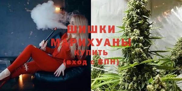 spice Алзамай