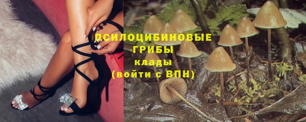 спиды Семилуки