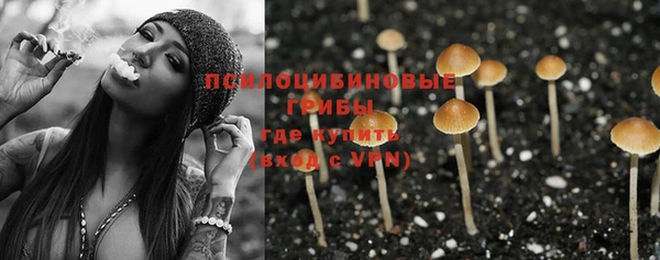 spice Алзамай